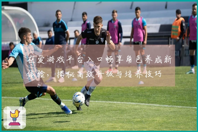 在爱游戏平台入口畅享角色养成新体验，揭秘高效升级与培养技巧